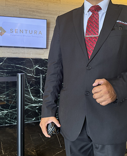 seguridad sentura corporativo